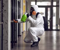 Trusted Hooverson Heights, WV Mold Removal & Remediation Experts